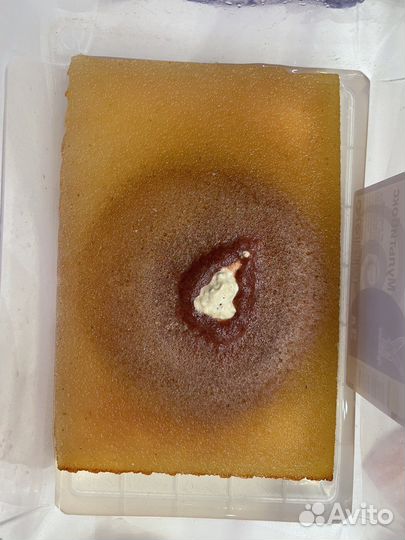 Живой корм для аквариумных рыбок