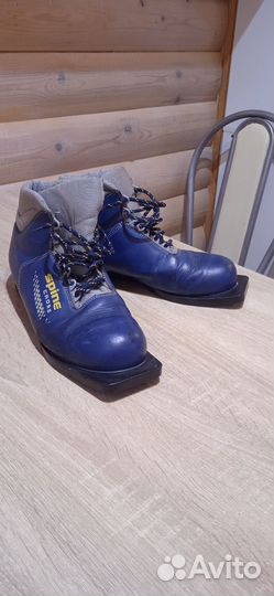 Беговые лыжи