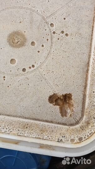 Мёд натуральный