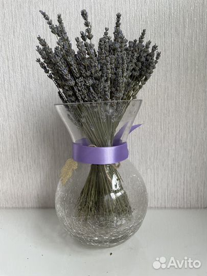 Лаванда сухоцвет