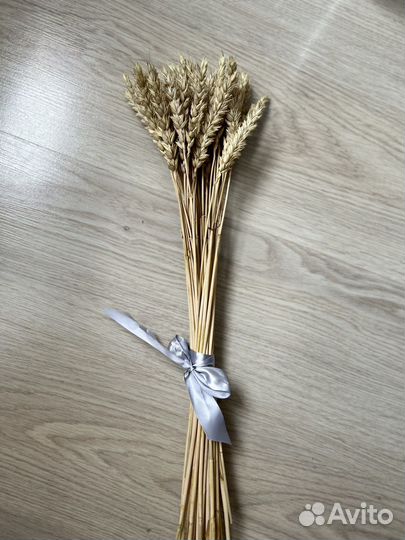 Колоски пшеницы