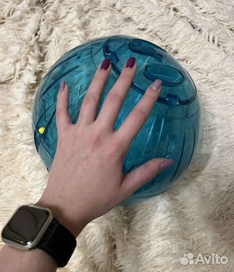 Шар для грызунов