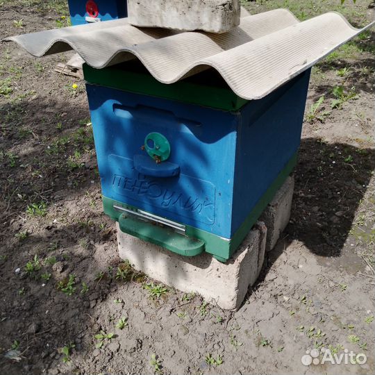 Улей, пчелы