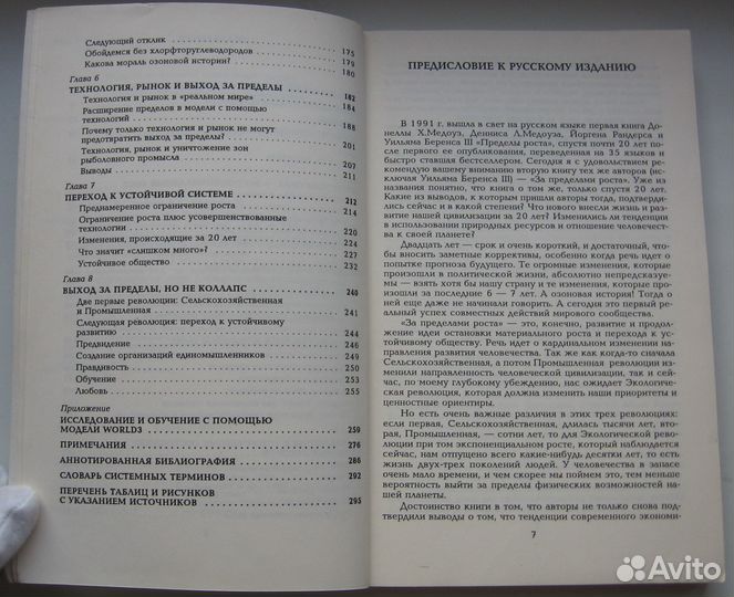 Медоуз Д. Х. За пределами роста