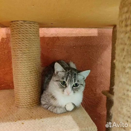 Стеша ждёт свою любящую семью