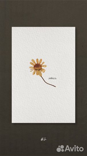 Авторские открытки с сухоцветами