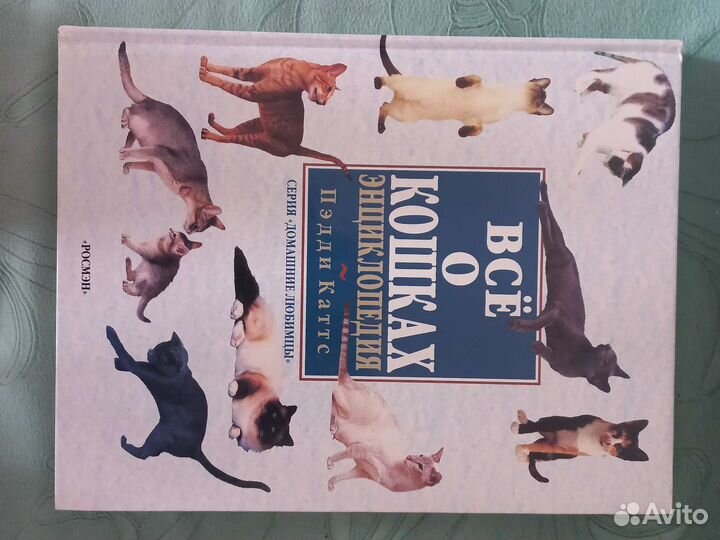 Энциклопедия 