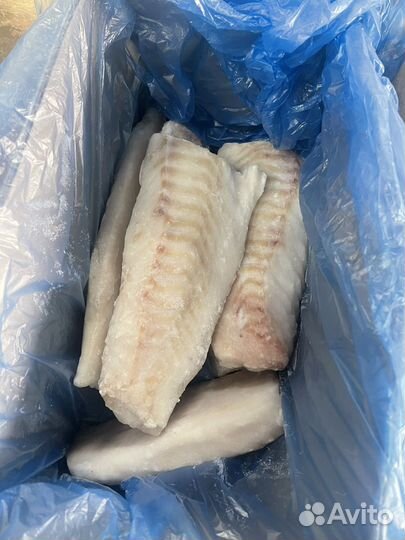 Спинка трески