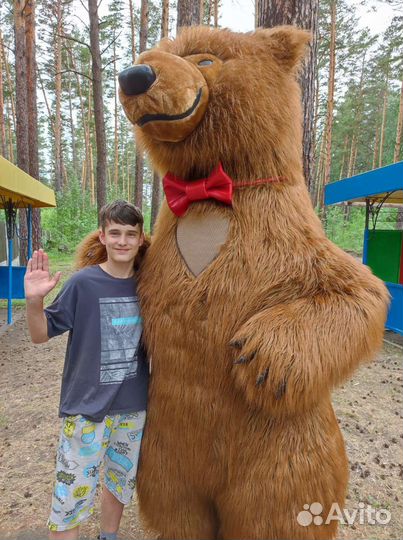 Поздравление Медведь Мишка Белый Бурый Большой