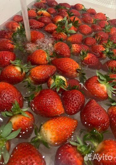 Клубника в бельгийском шоколаде