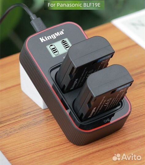 2 аккумулятора Panasonic BLF19+зарядка Kingma
