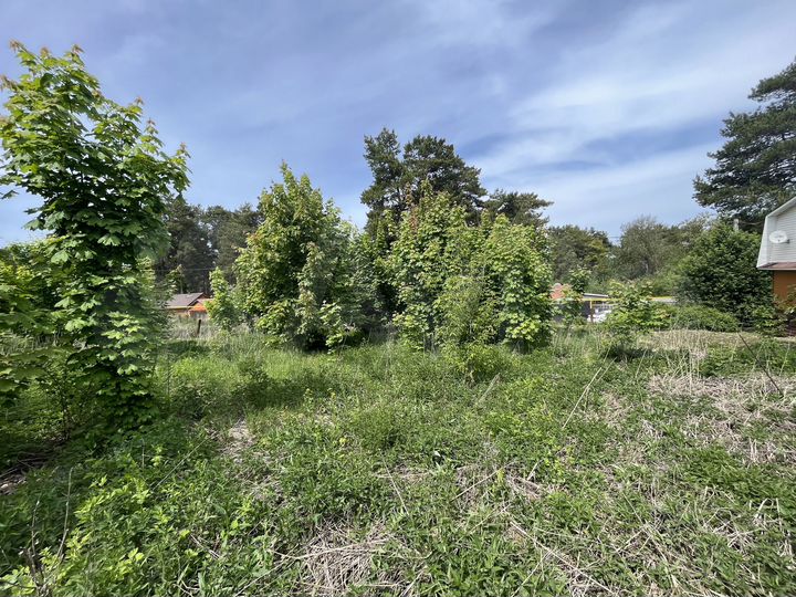 Участок 11 сот. (ИЖС)