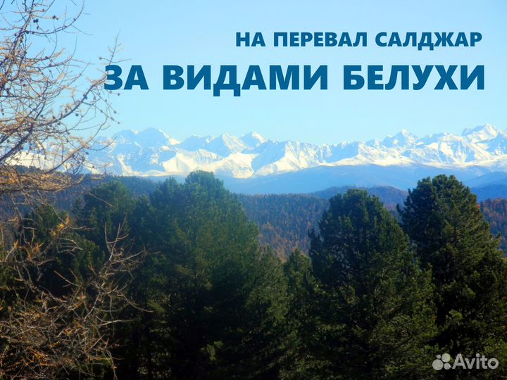 Экскурсия за видами Белухи
