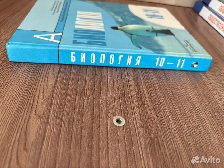 Учебник Биология 10-11 класс Беляев