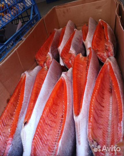 Форель, сёмга, горбуша, скумбрия, сельдь