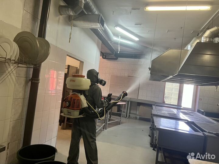 Уничтожение клопов, тараканов. Дезинфекция