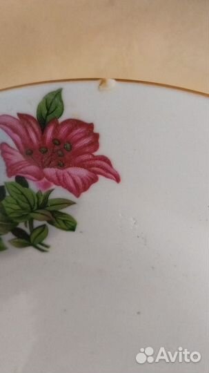 Тарелки 7 шт. 