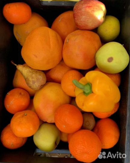 Продукты на корм животным