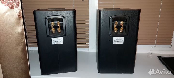 Полочные колонки Vector HX210