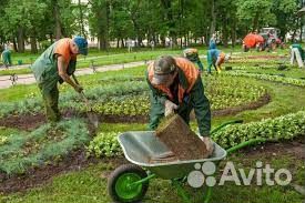 Рабочий без опыта с ежедневной оплатой не сложно