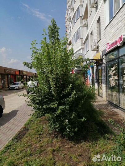 Магазин бар