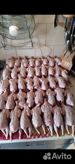 Мясо перепелов