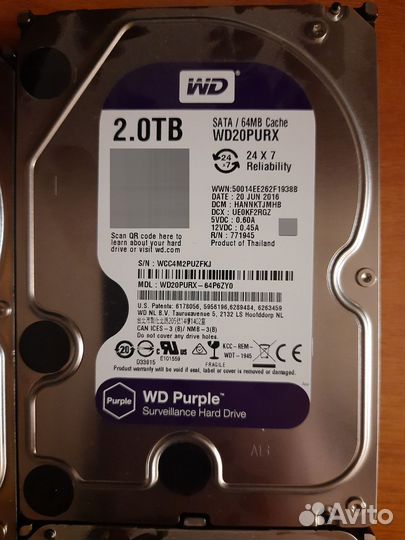 Жесткий диск WD Purple