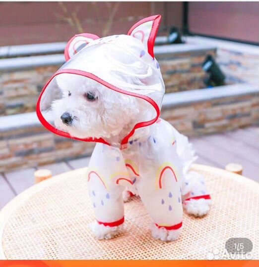 Одежда и обувь для собак