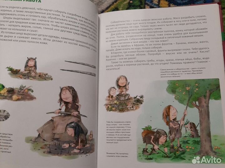 Книги и игра на тему каменного века