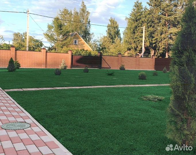 Рулонный газон