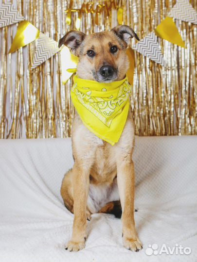 Вернули как вещь