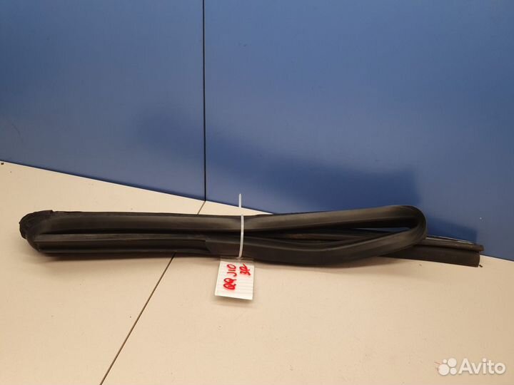 Уплотнитель стекла двери задний правый Nissan Qashqai J10 2006-2014