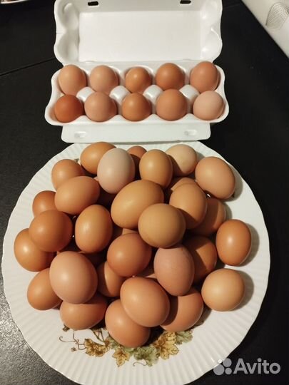Домашние куриные яйца