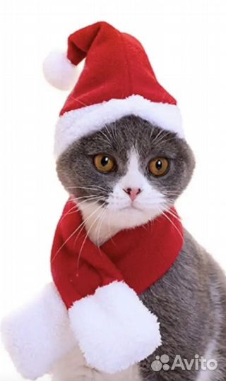 Одежда для животных новая