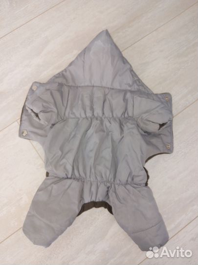 Костюм для маленькой собаки