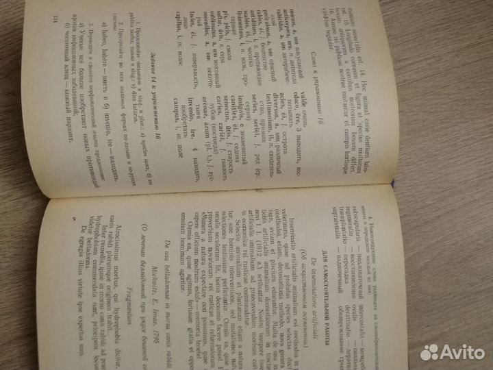 Учебник латинского языка