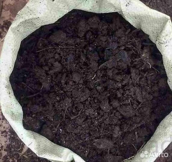 Конский перегной