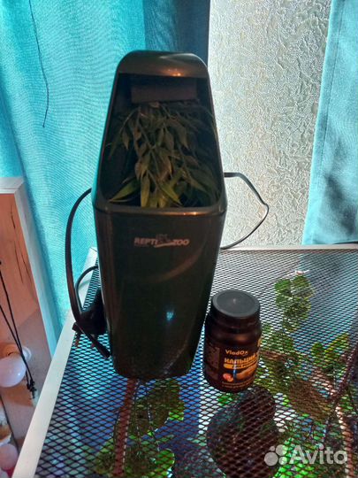 Террариум для хамелеона и др. рептилий