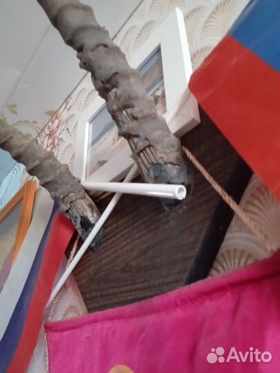 Настенные украшения