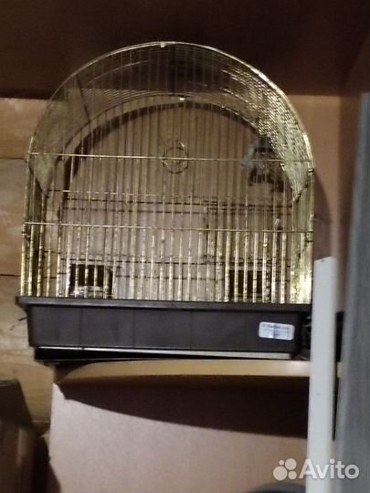 Клетка для попугая бу