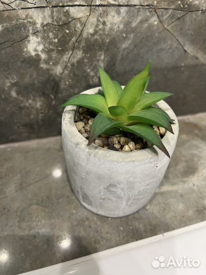 Суккуленты искусственные