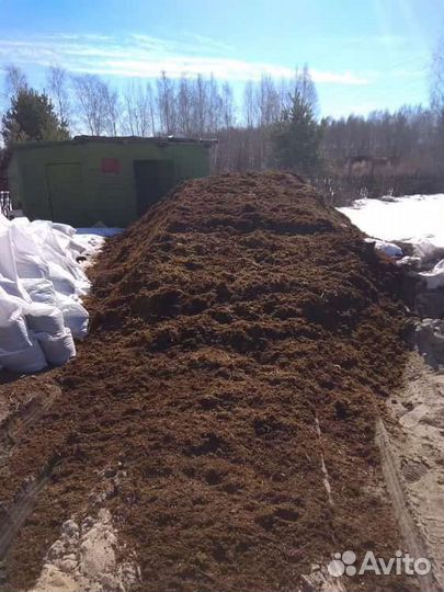 Компост, перегной конского навоза с опилками