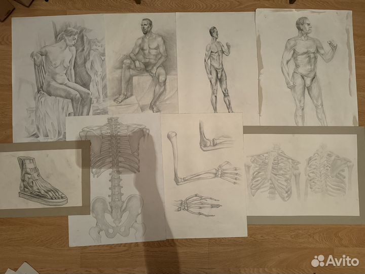 Академический рисунок и живопись