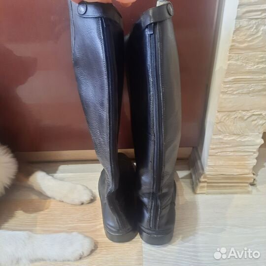 Сапоги для верховой езды/конного спорта