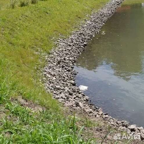 Семена газона 