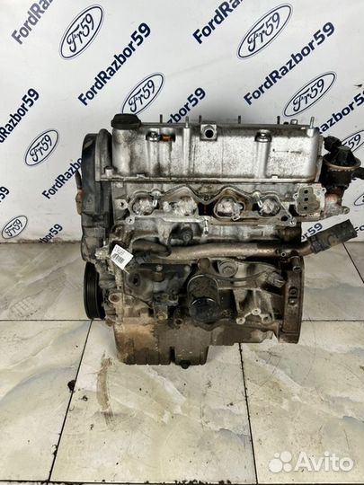 Двигатель Honda Civic EU 1.6 (D16V1) 2005