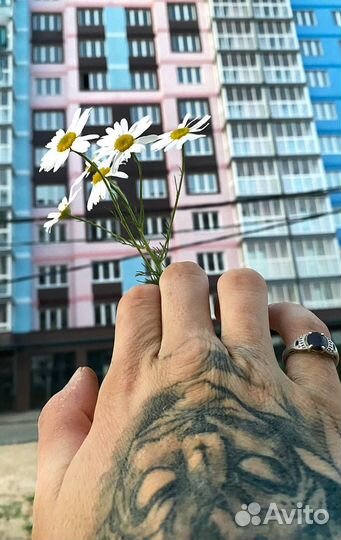 Друг на час Собеседник