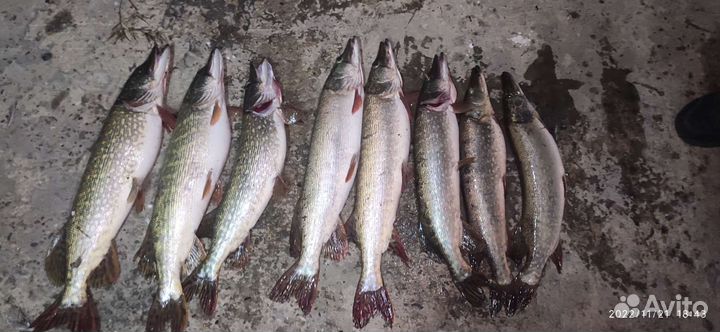 Рыбалка и отдых