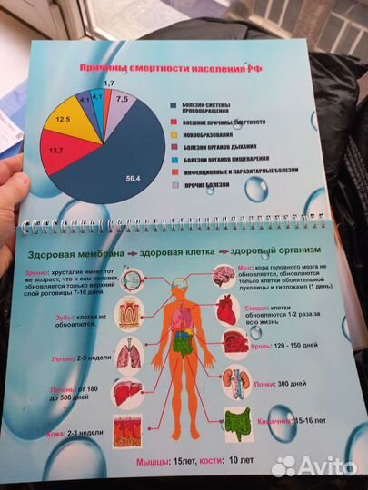 Брошюры маркетинг
