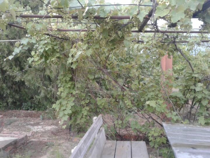 Дача 20 м² на участке 9,5 сот.